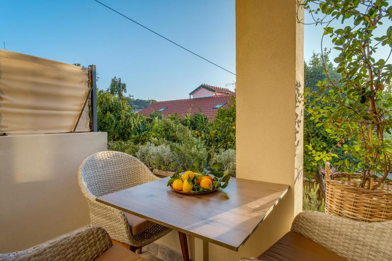 Apartment with Terrace image 2