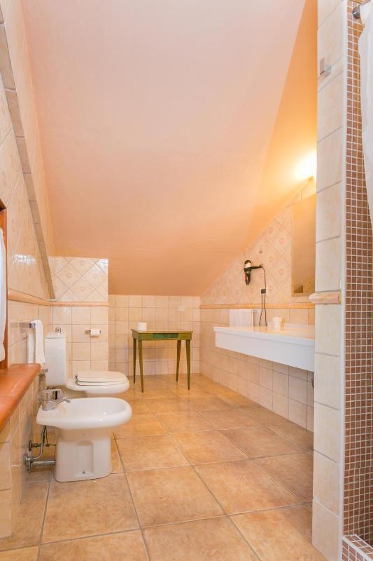 Superior Double or Twin Room image 3
