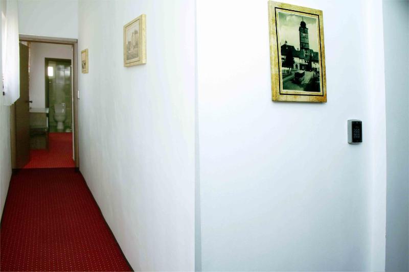 Pensiunea Casa Helis - image 4