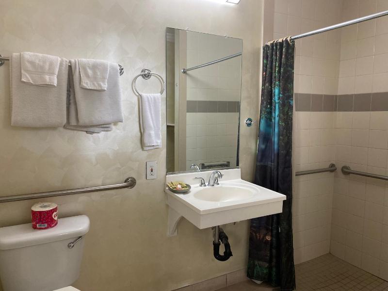Standard Double Room image 3