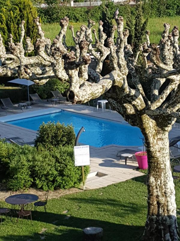 Superior Double Room with Garden View image 1