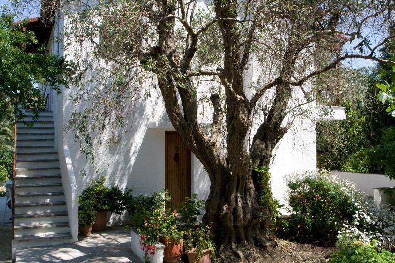 Villas Alexandra Skiathos - image 29