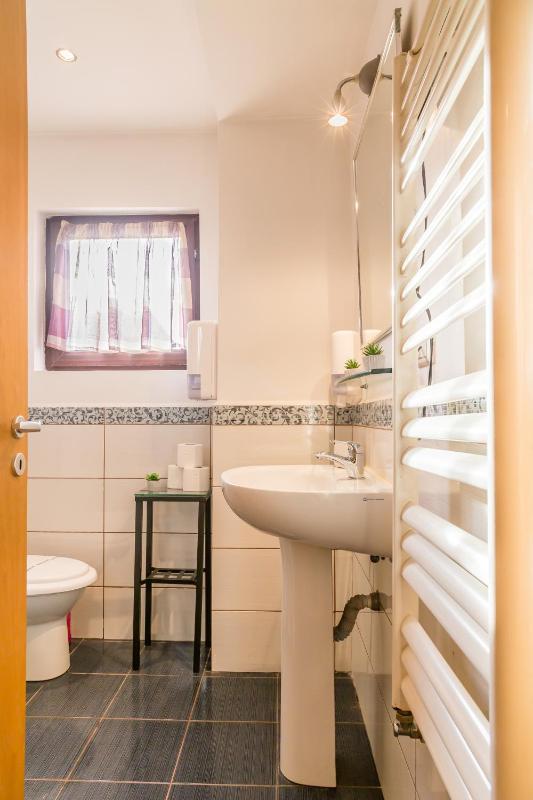 One-Bedroom Apartment image 3