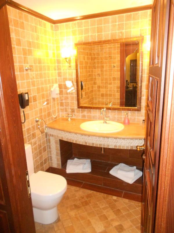 Deluxe Single Room image 4
