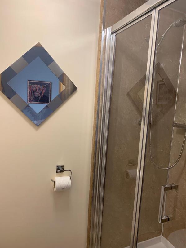 Deluxe Double or Twin Room with Lake View image 3