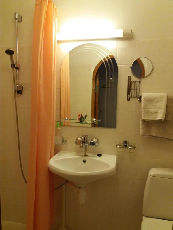 Studio Apartment with Kitchenette image 4