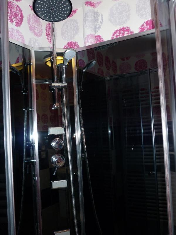 One-Bedroom Apartment image 2