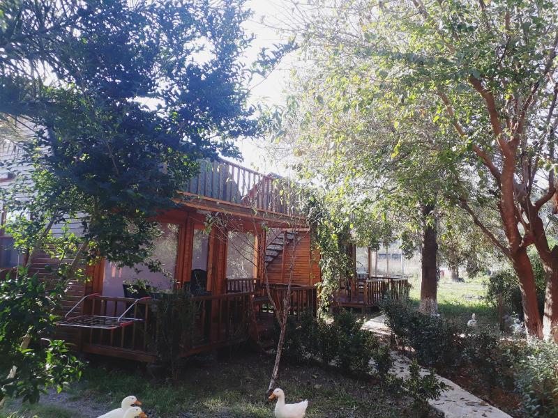 Bungalow with Garden View image 4