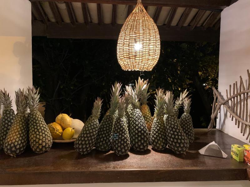 Pousada Tartaruga Boutique Hotel - image 39