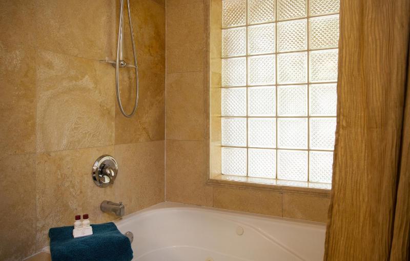 Deluxe King Suite image 4