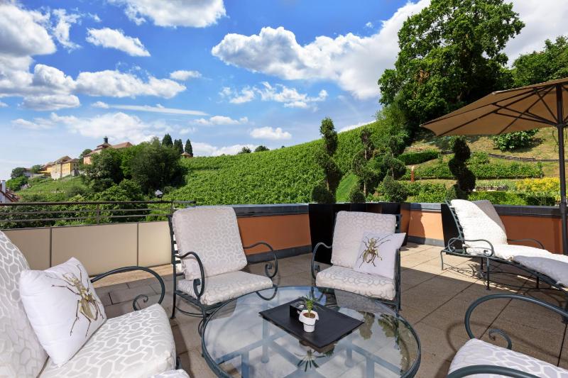 Suite Residenz with Terrace image 4