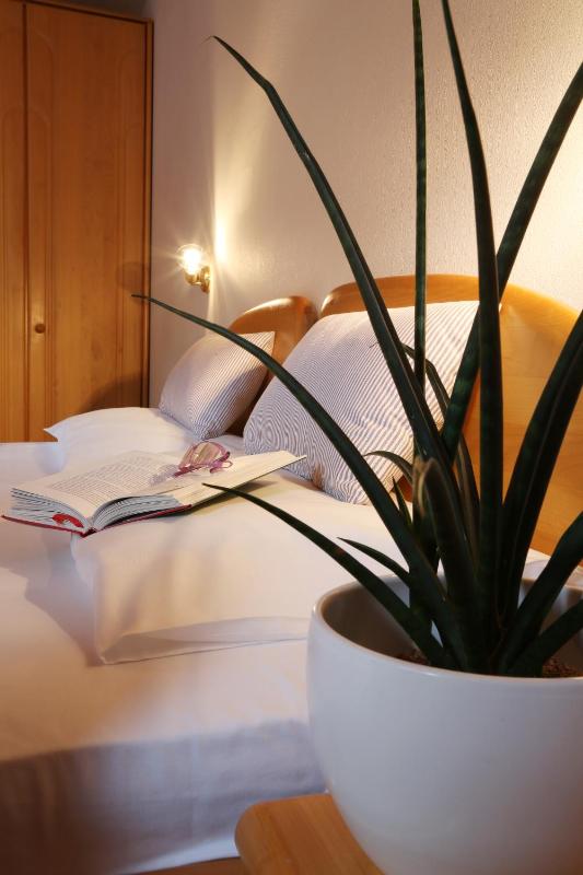 Double Room with Bathroom without Kitchen image 2