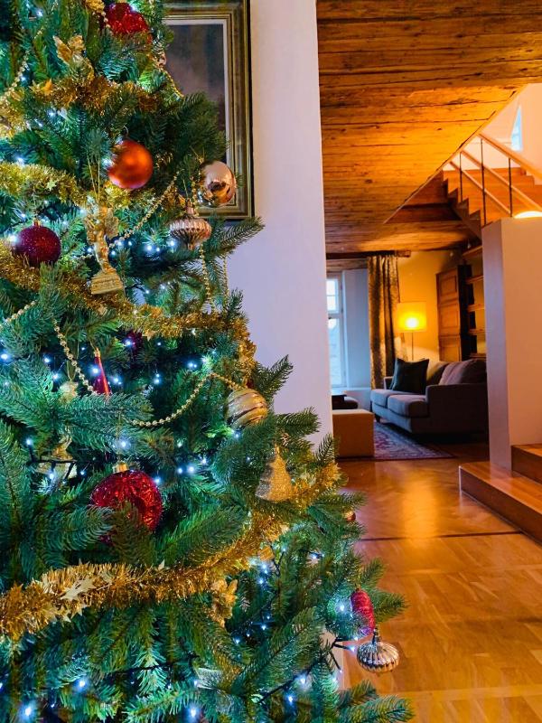 Tallinn City Apartments Luxury 4 bedroom with terrace and sauna - image 12