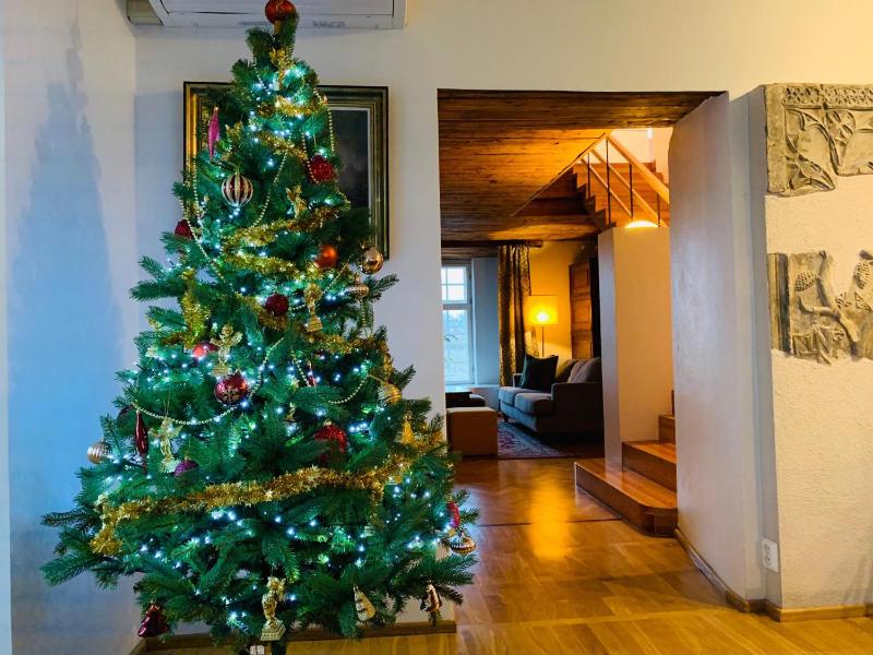 Tallinn City Apartments Luxury 4 bedroom with terrace and sauna - image 7