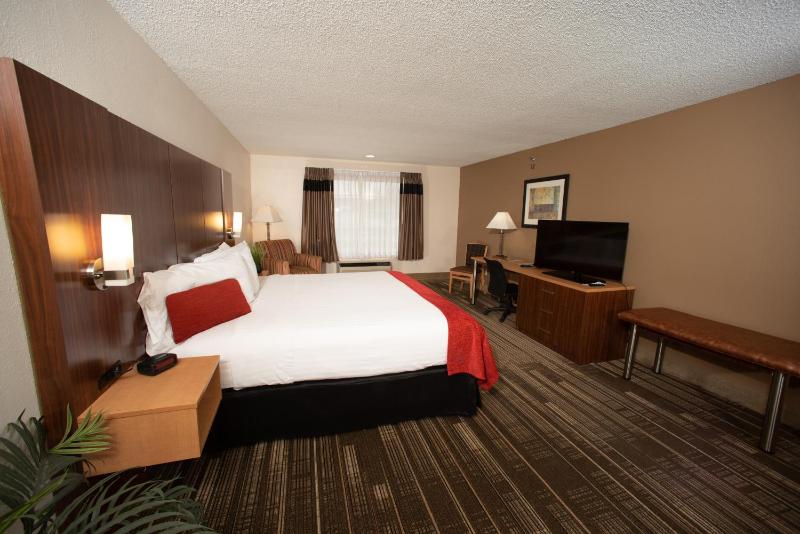 King Room image 3