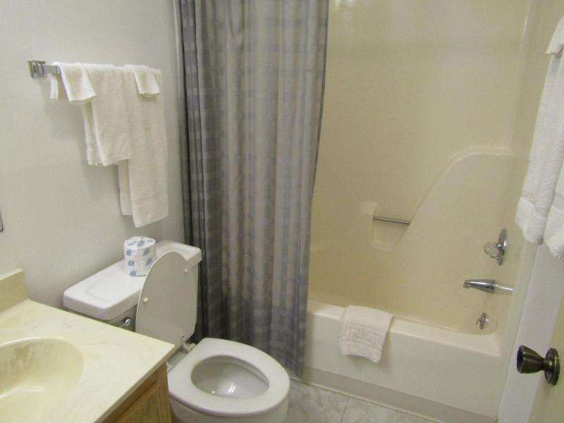 One-Bedroom Apartment image 3