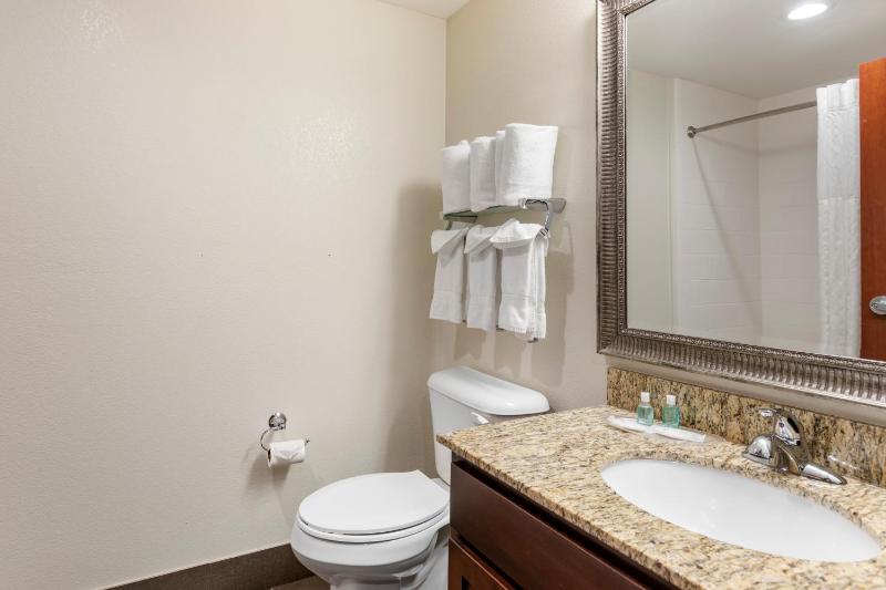 MainStay Suites Near Denver Downtown - image 36
