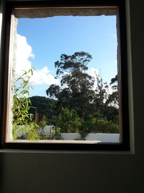 Suite image 2
