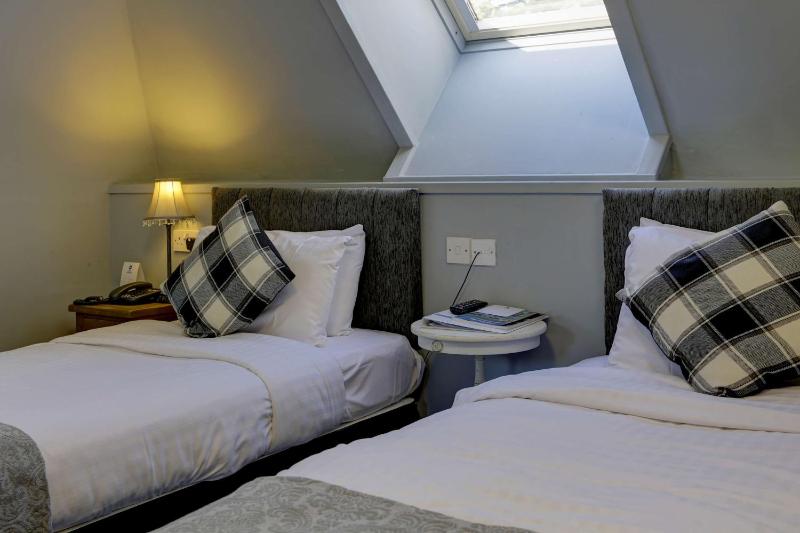 Standard Twin Room image 1
