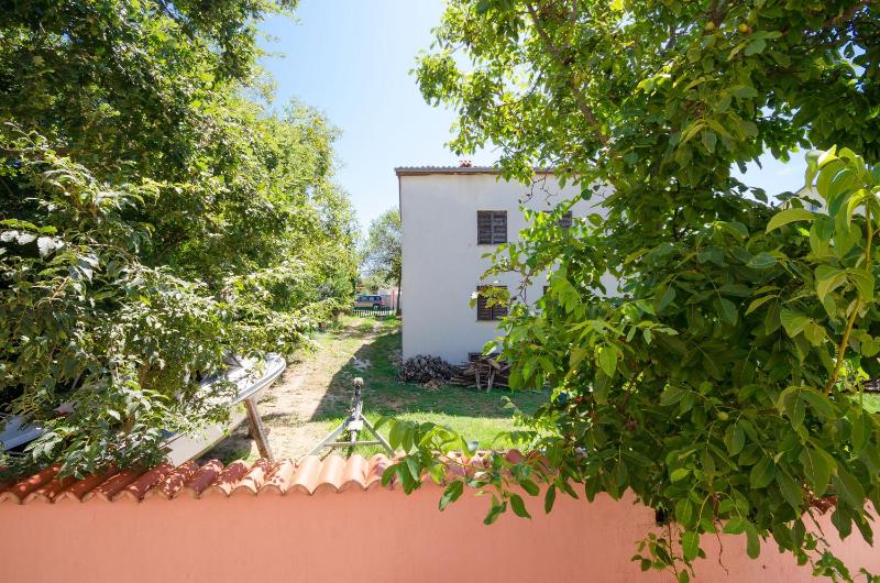 One-Bedroom Apartment image 2