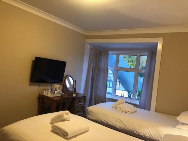 Twin Room image 1