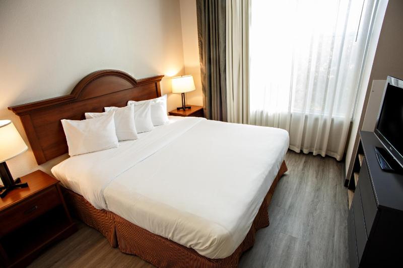 King Room - Non-Smoking image 1