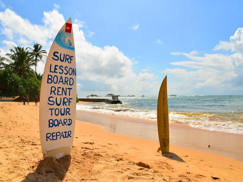 Hotel Happy Tuna - image 11