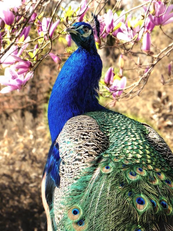 Deluxe Double Room with Shower image 2