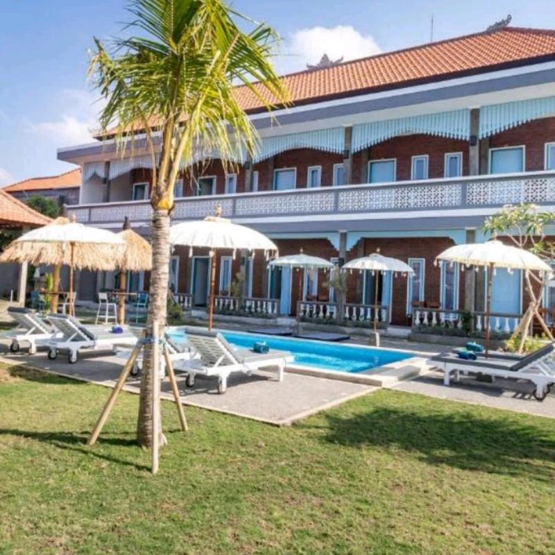 D Anyar Stay and Surf - image 1