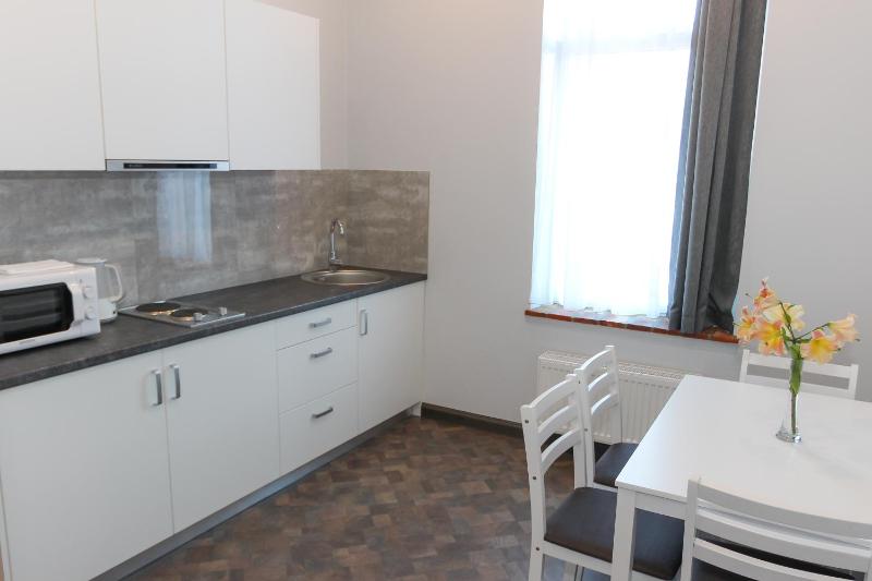 One-Bedroom Apartment image 3