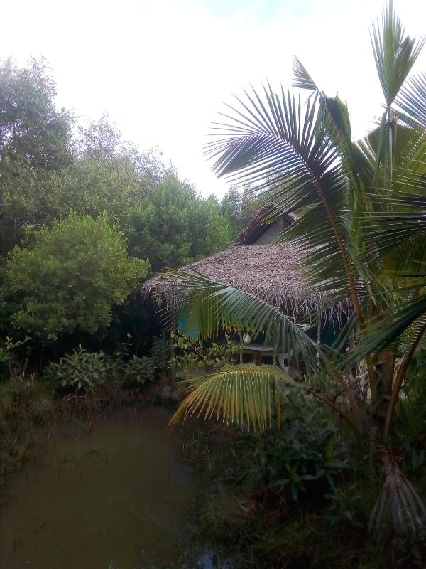 Mermaid Cabana and Tree Houses - image 2