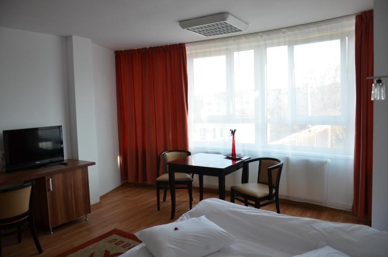 One-Bedroom Apartment image 4