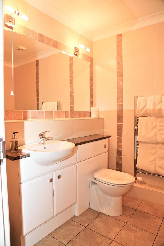 Family Room with Private Bathroom image 4