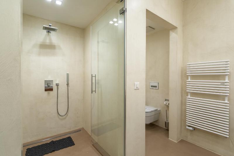 One-Bedroom Apartment image 3