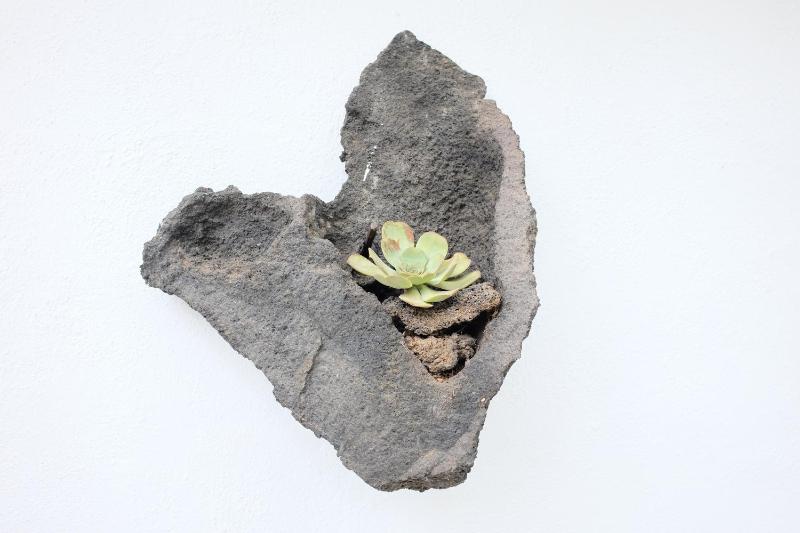 Apartment with Terrace (6 Adults) image 3