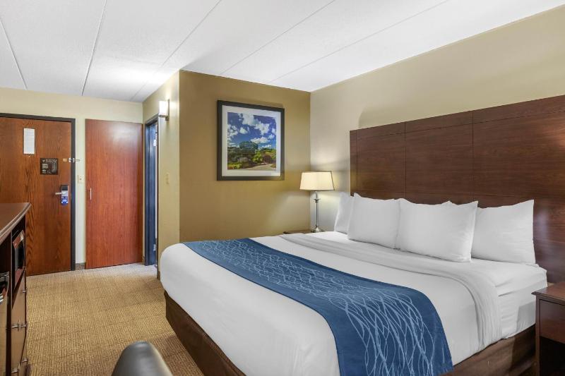King Room - Non-Smoking image 1