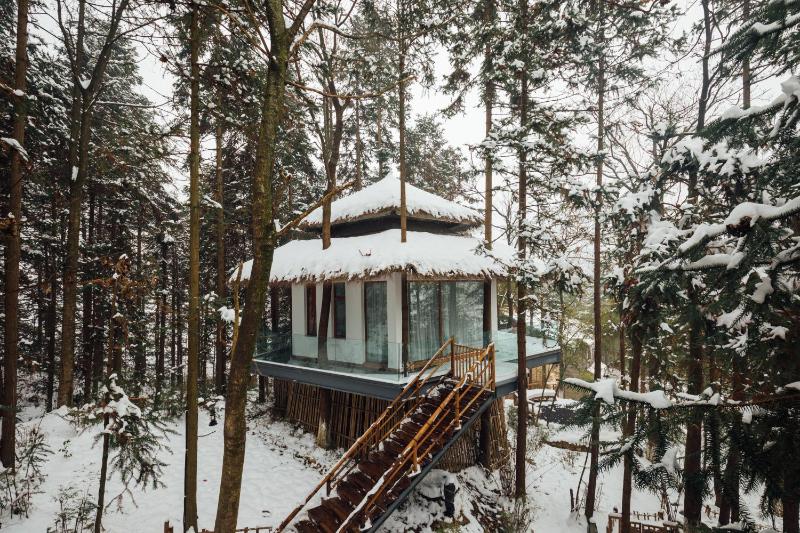 Evergreen Forest Retreat Zhangjiajie Near National Forest Park Avator Park Luxury Nature Escape Free Airport&Train Shuttle Service & Travel itinerary English Speaking Butler - image 16