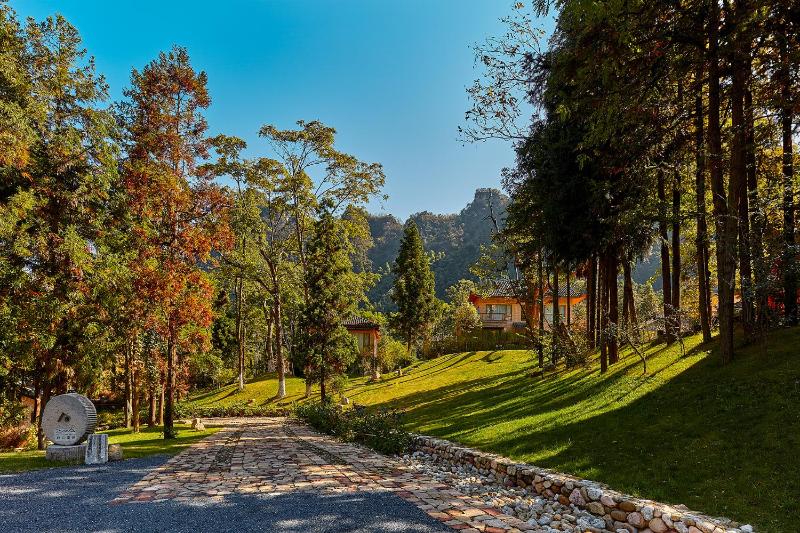 Evergreen Forest Retreat Zhangjiajie Near National Forest Park Avator Park Luxury Nature Escape Free Airport&Train Shuttle Service & Travel itinerary English Speaking Butler - image 39