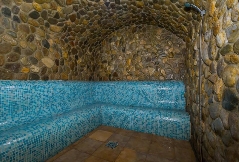 Hotel Imparatul Romanilor Hotel & SPA - image 41