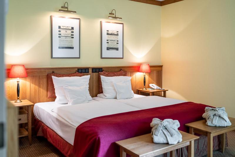 Comfort Double Room image 2