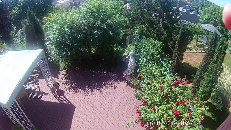Family - image 45