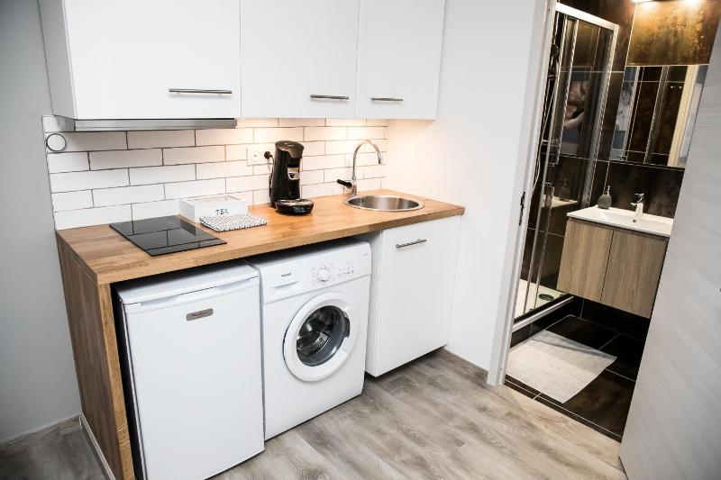 Standard Apartment image 4