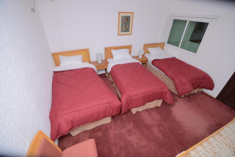 Petra Lion Hotel - image 6