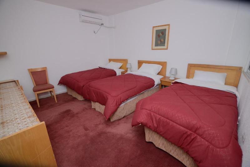 Petra Lion Hotel - image 11