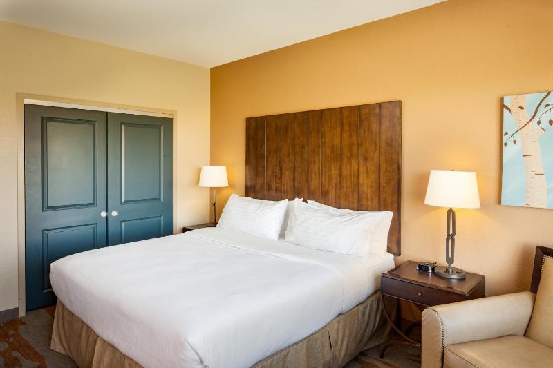 Holiday Inn San Antonio SeaWorld by IHG - image 11
