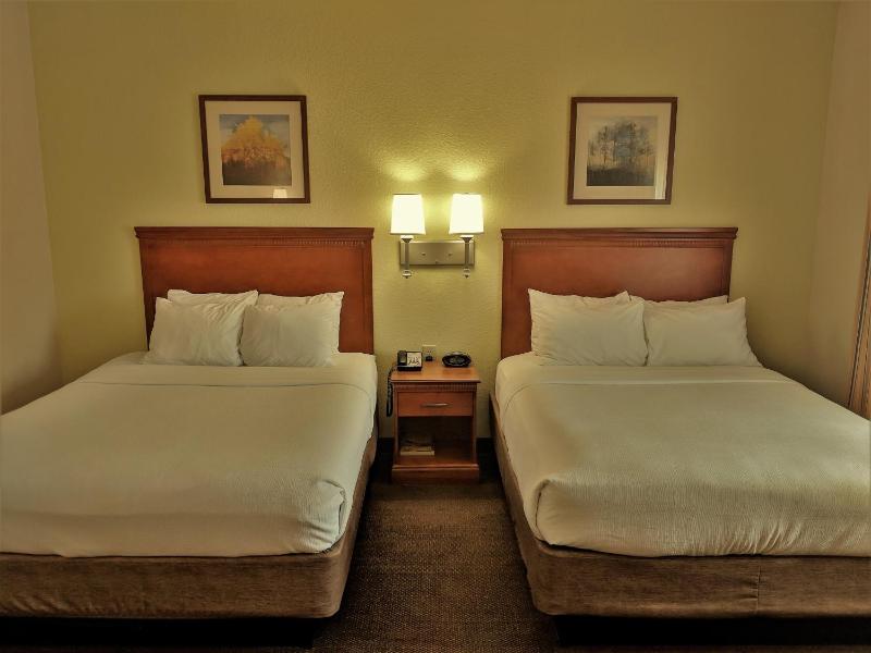 Double Studio with Two Double Beds - Non-Smoking image 3