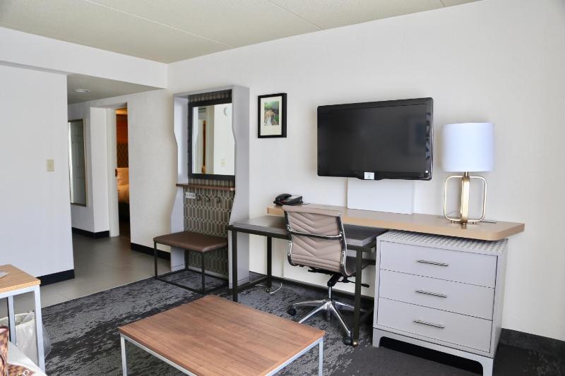 One-Bedroom King Suite image 3