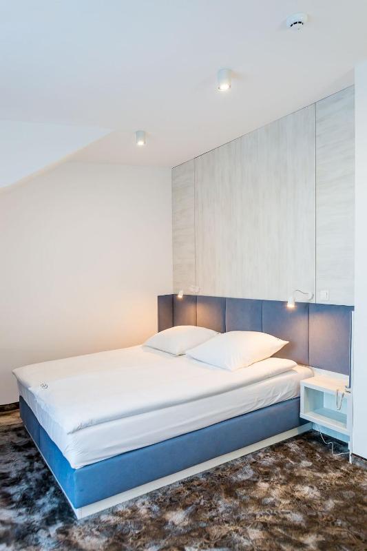 Comfort Plus Double Room image 4