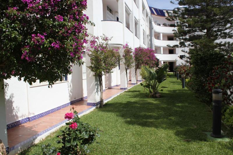 Medina Molins - Deniasol - image 11