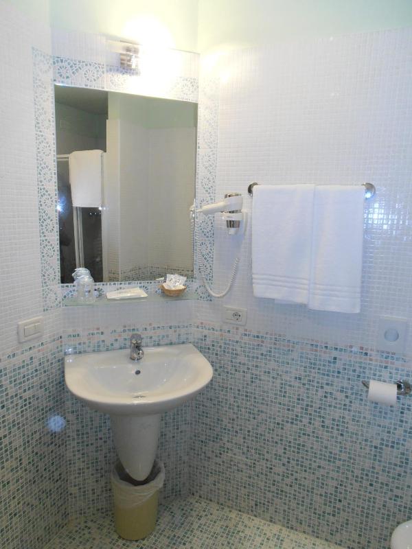 Single Room image 2